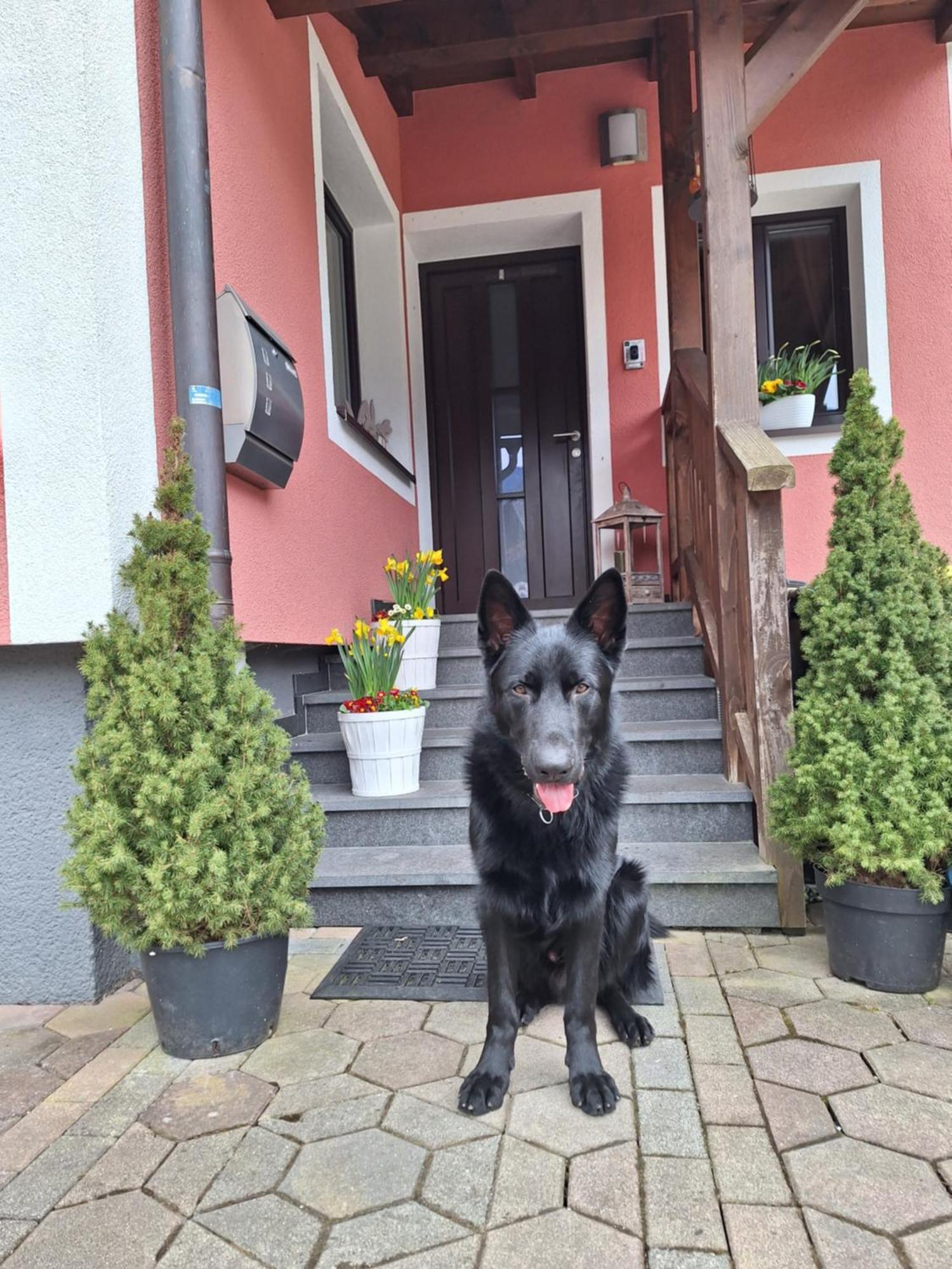 Haus Hoell Herta Hallstatt Luaran gambar