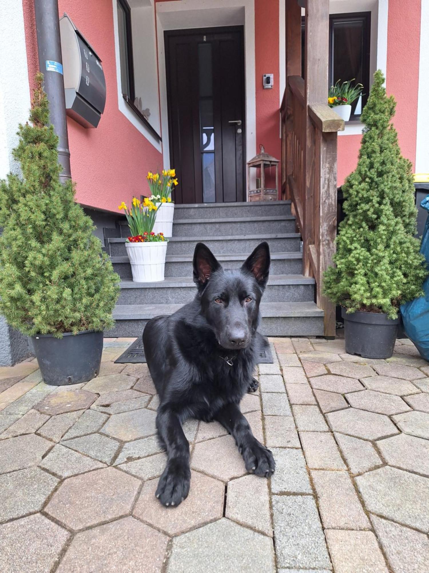 Haus Hoell Herta Hallstatt Luaran gambar